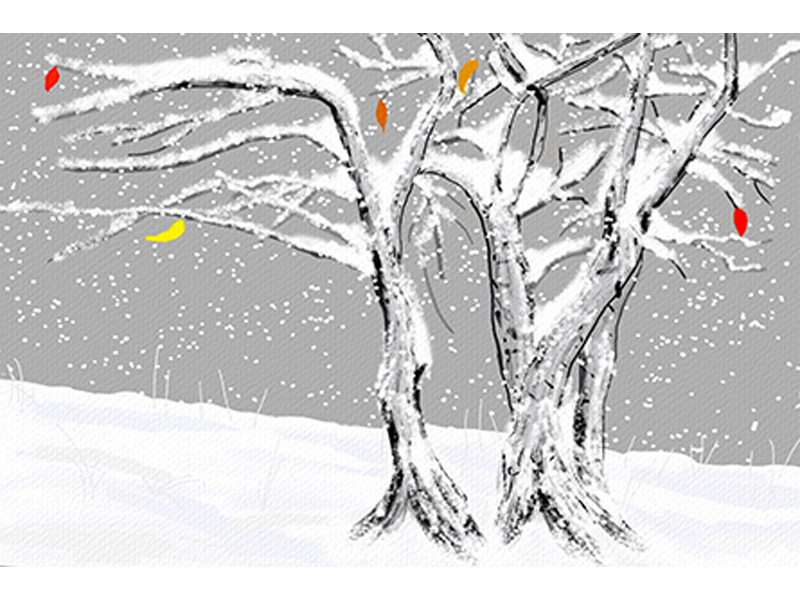 jinying-flying-snow-tree